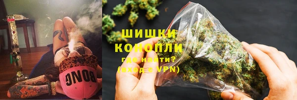 ПСИЛОЦИБИНОВЫЕ ГРИБЫ Арсеньев