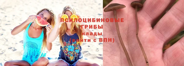 стаф Армянск