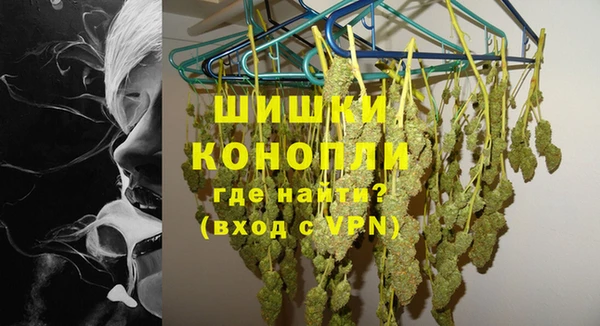 ПСИЛОЦИБИНОВЫЕ ГРИБЫ Арсеньев