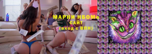 ПСИЛОЦИБИНОВЫЕ ГРИБЫ Арсеньев