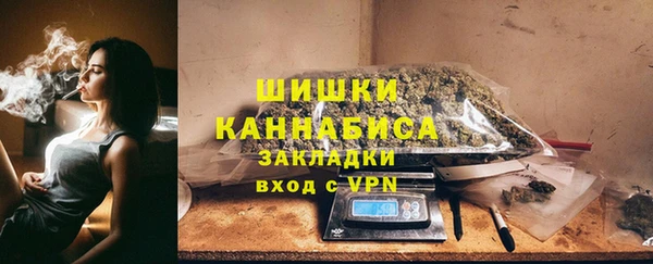 ПСИЛОЦИБИНОВЫЕ ГРИБЫ Арсеньев