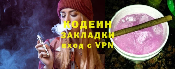 ПСИЛОЦИБИНОВЫЕ ГРИБЫ Арсеньев