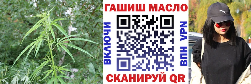 Купить закладки  Туапсе  ТГК THC oil 